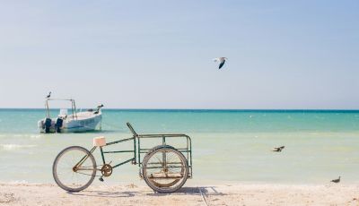 Los mejores tours en Holbox: naturaleza, aventura y maravillas únicas